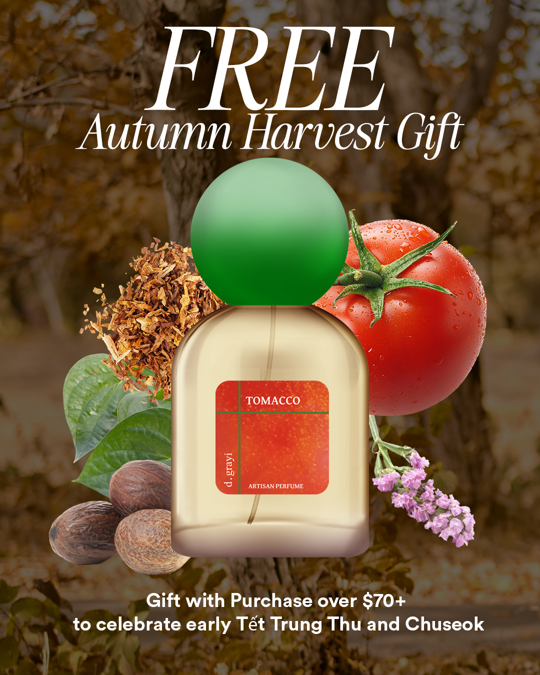 TOMACCO - Autumn Harvest Gift