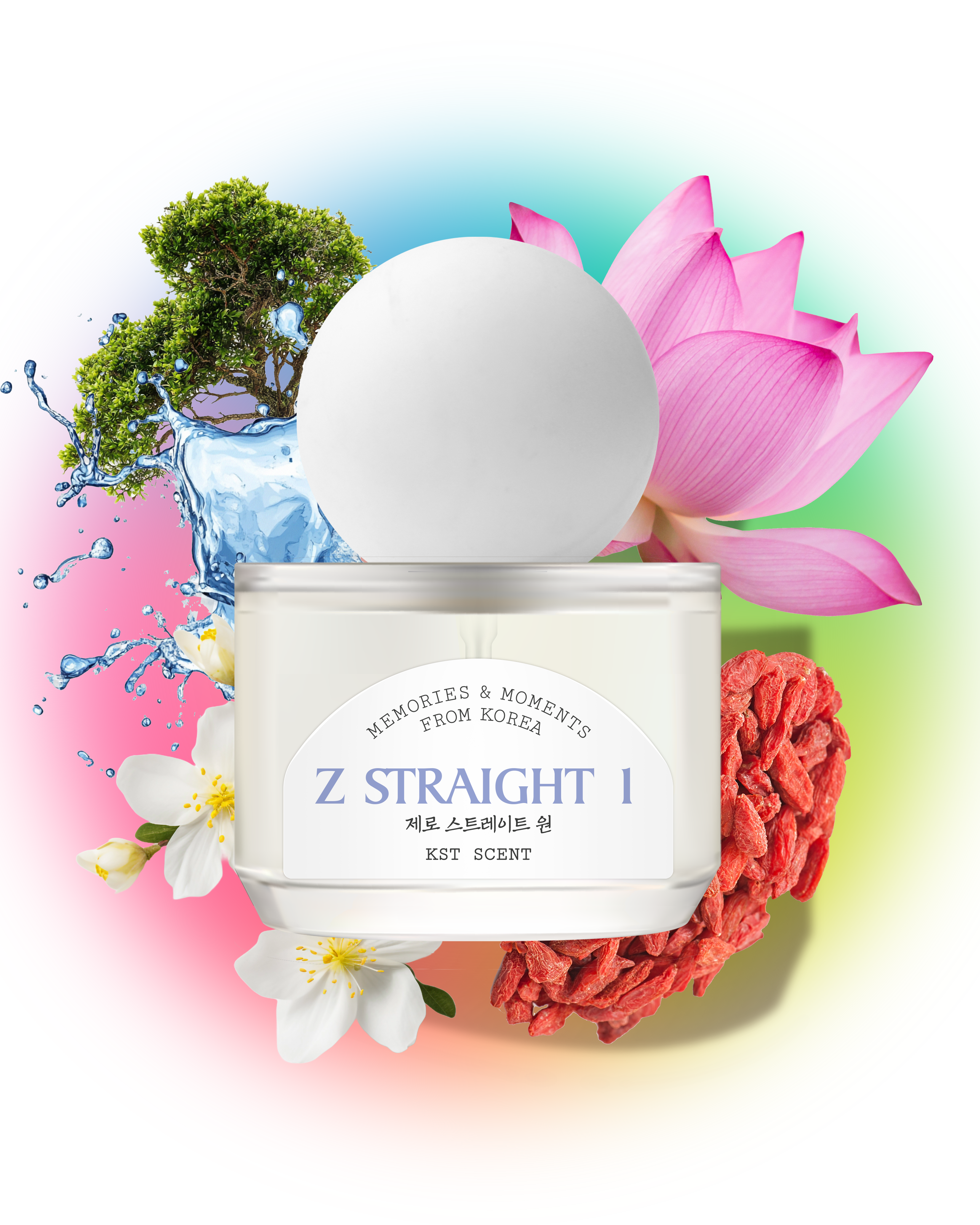 Z STRAIGHT 1 (Charity Project) - lv1 studio