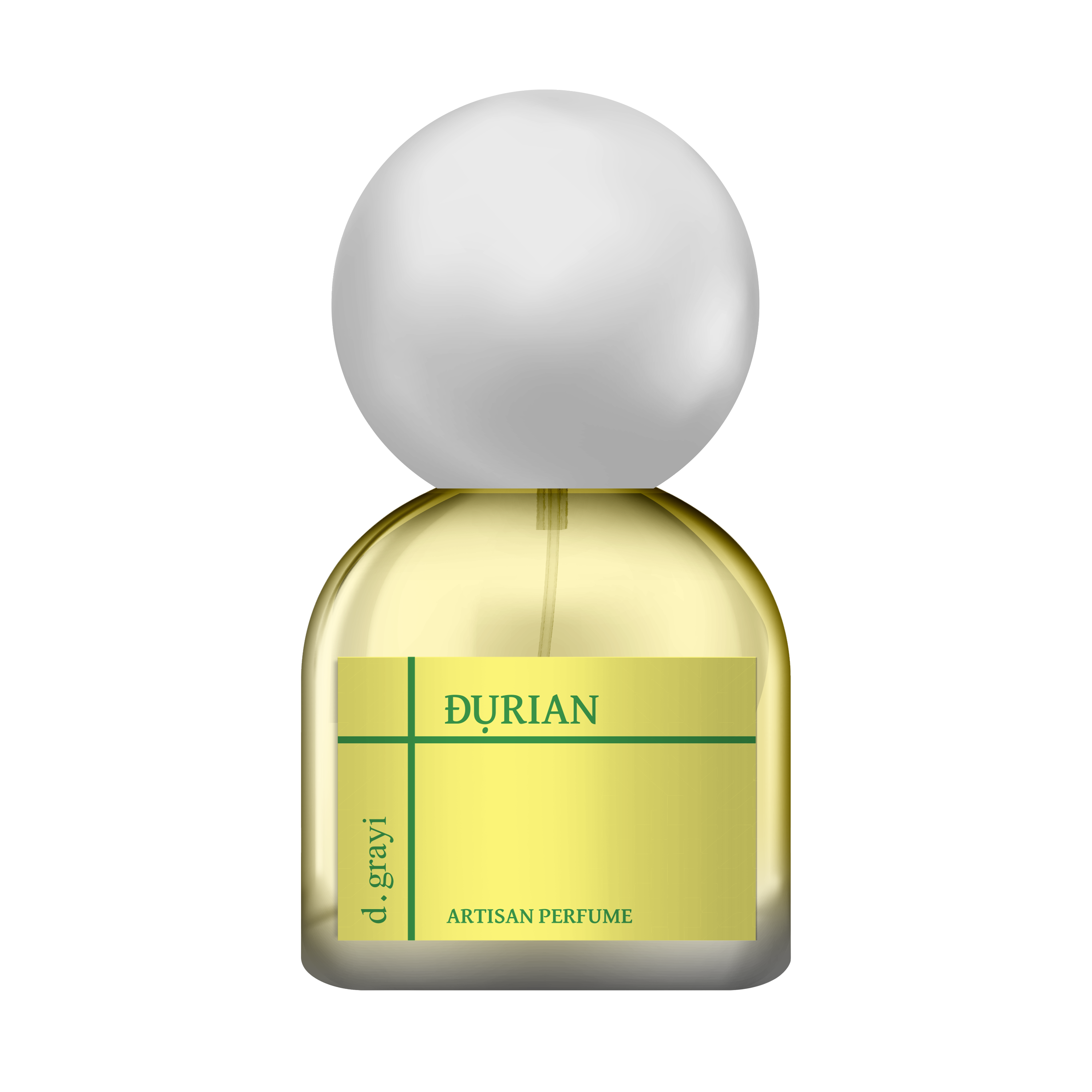 ĐỤRIAN (Durian & Avocado) - lv1 studio