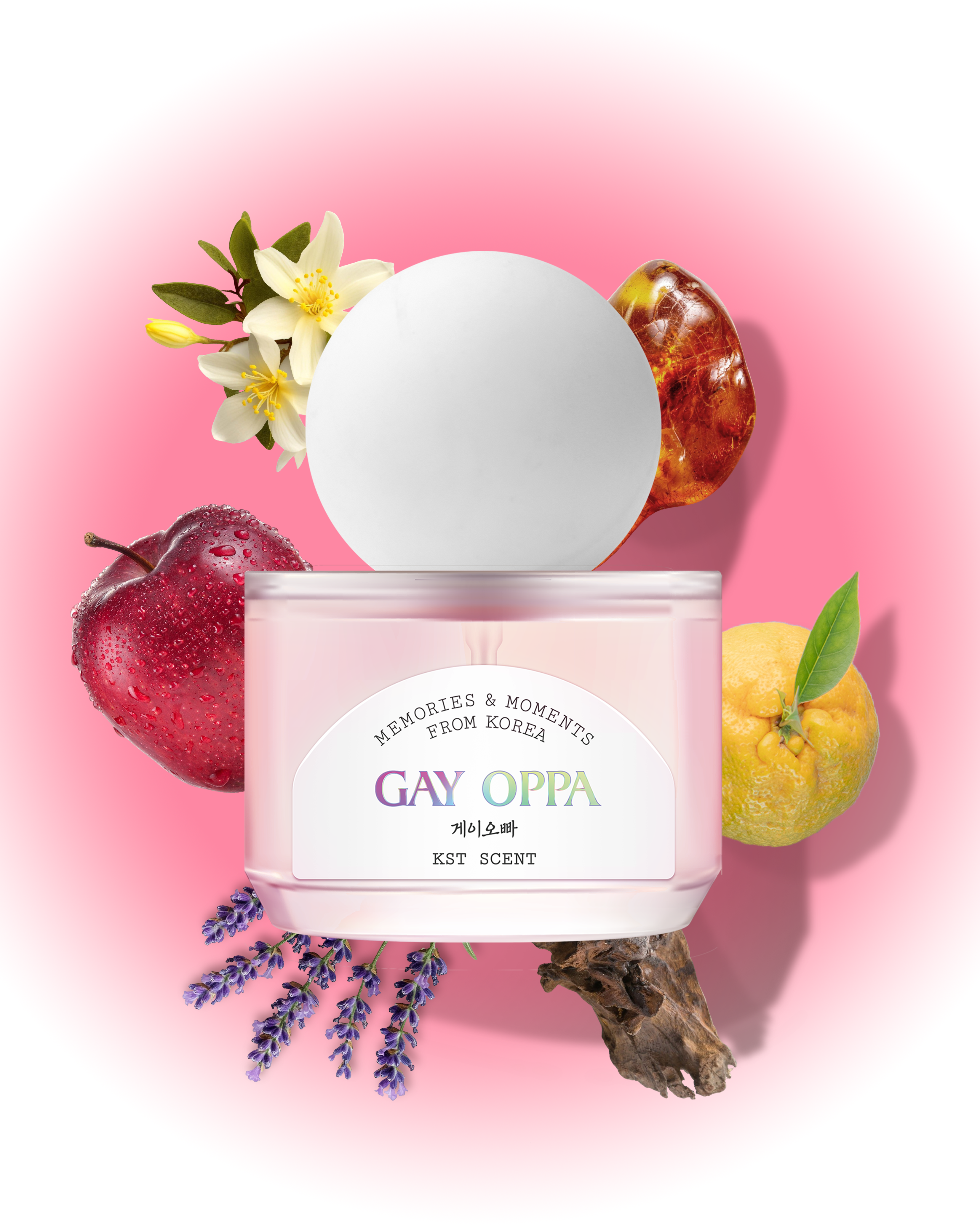 GAY OPPA - lv1 studio