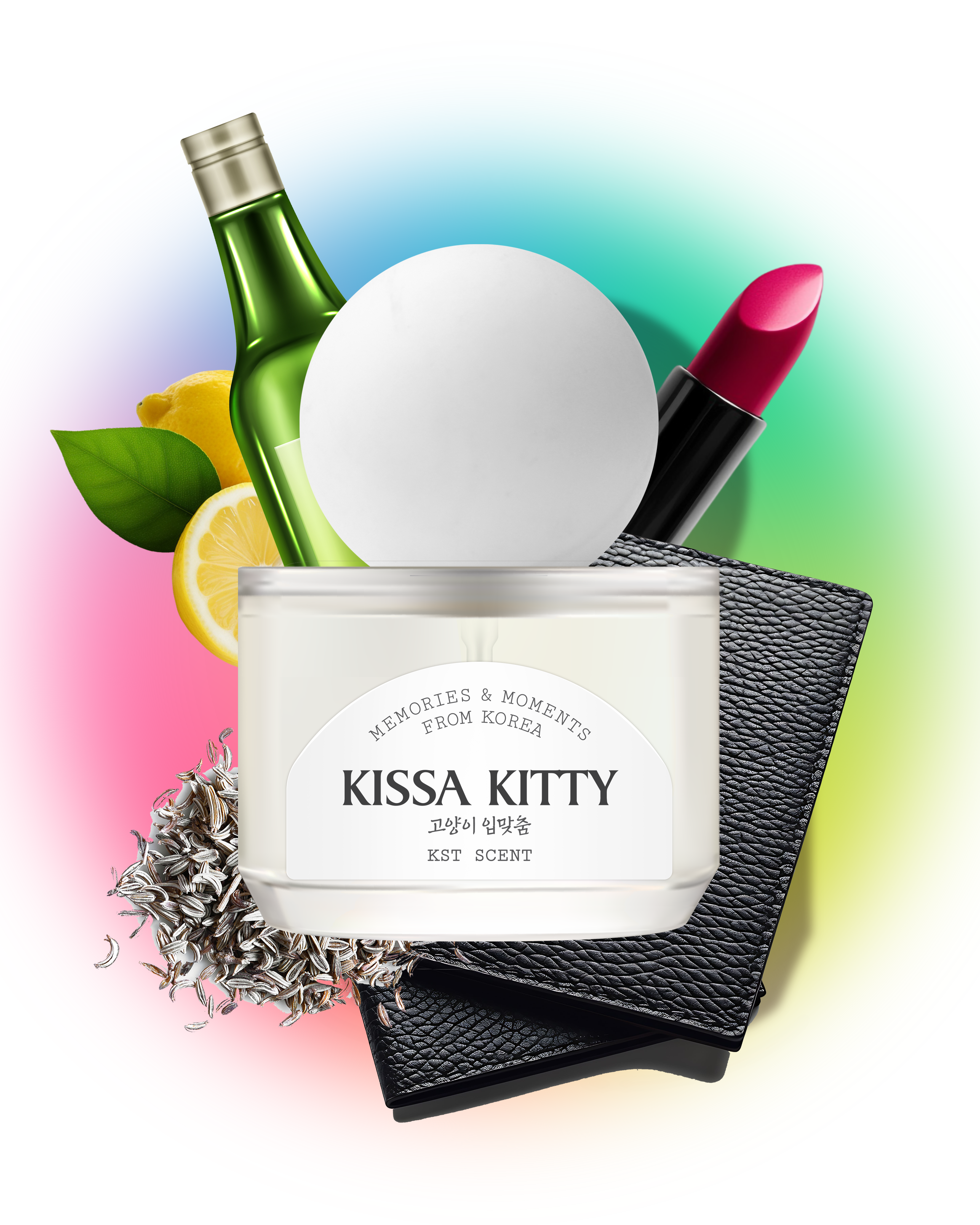 KISSA KITTY - lv1 studio