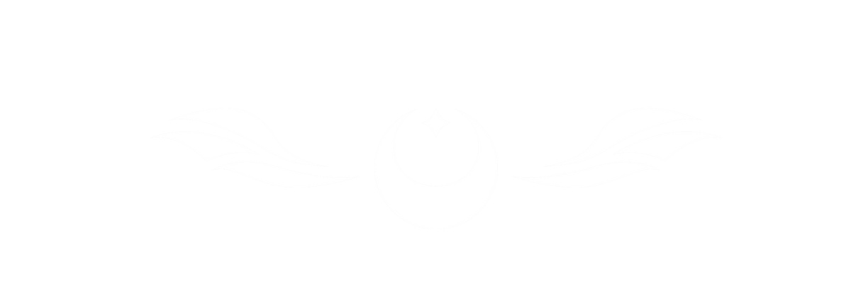lv1 studio logo