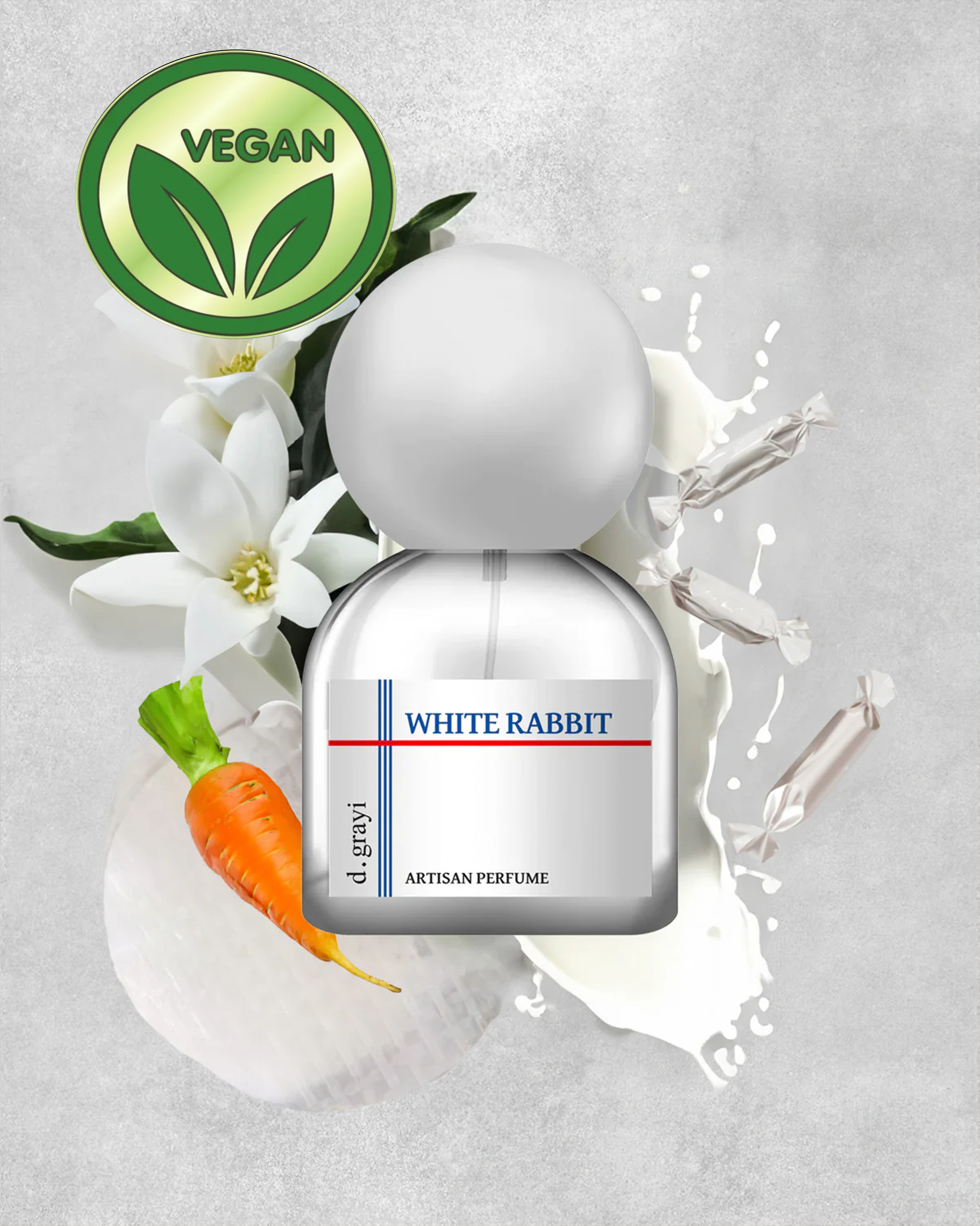 White Rabbit - lv1 studio