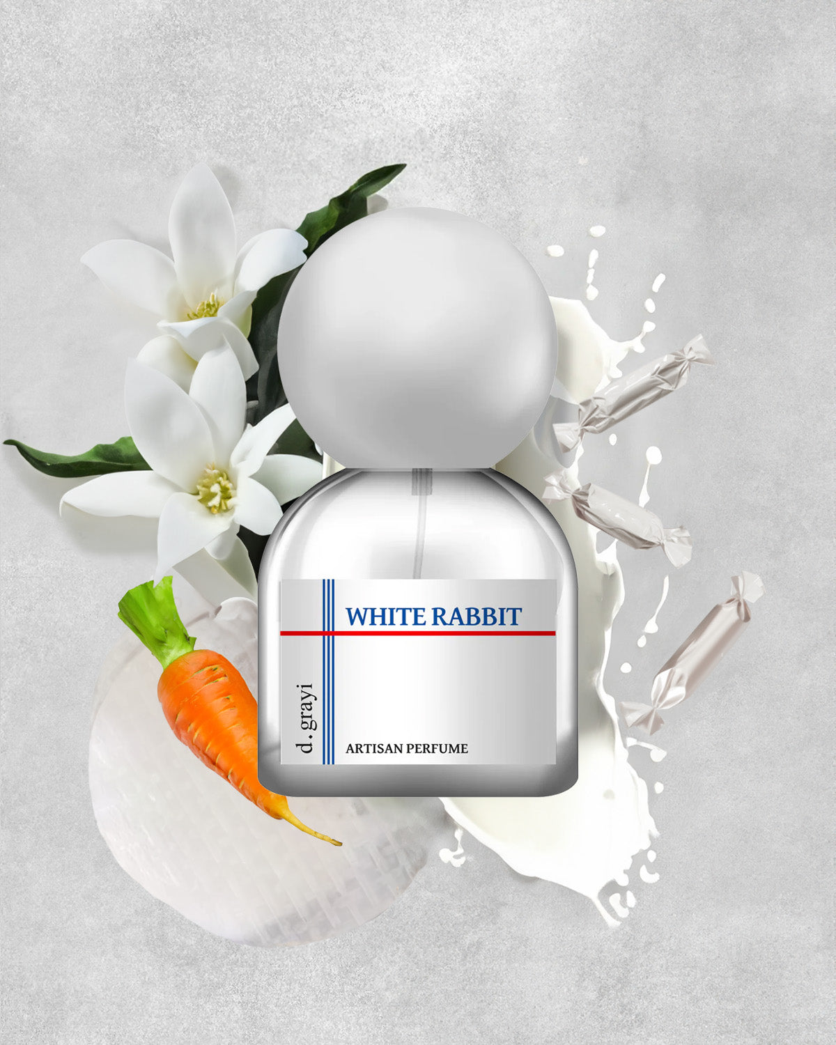White Rabbit - lv1 studio