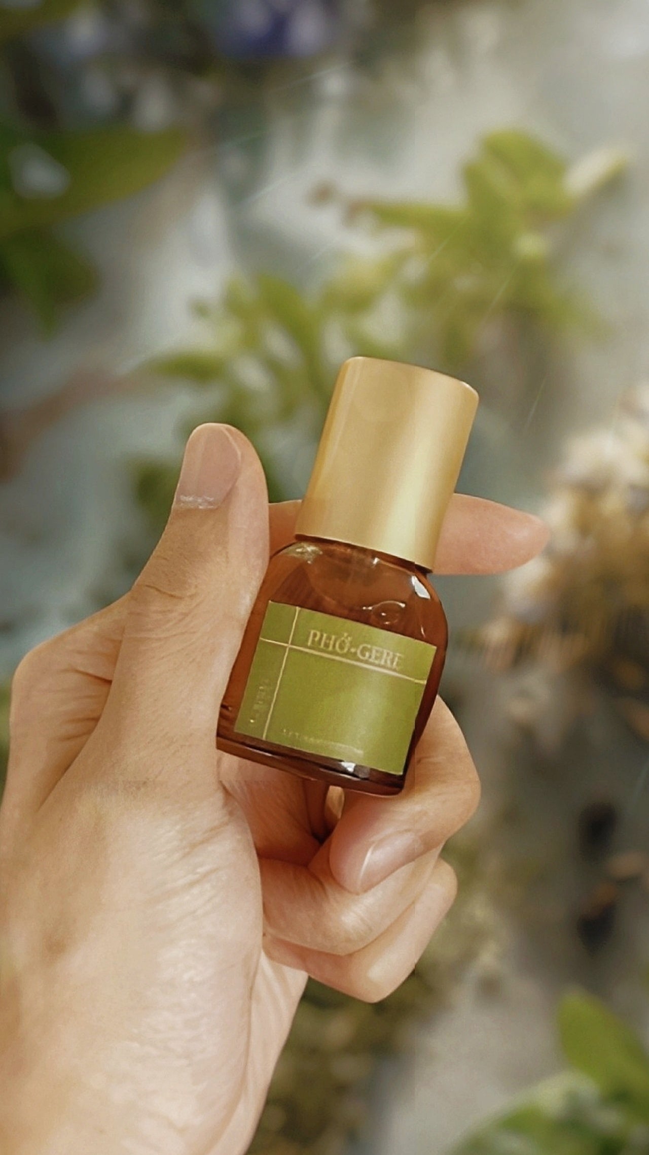 PHỞ-GERE [Pho Broth & Basil Fougere] - lv1 studio