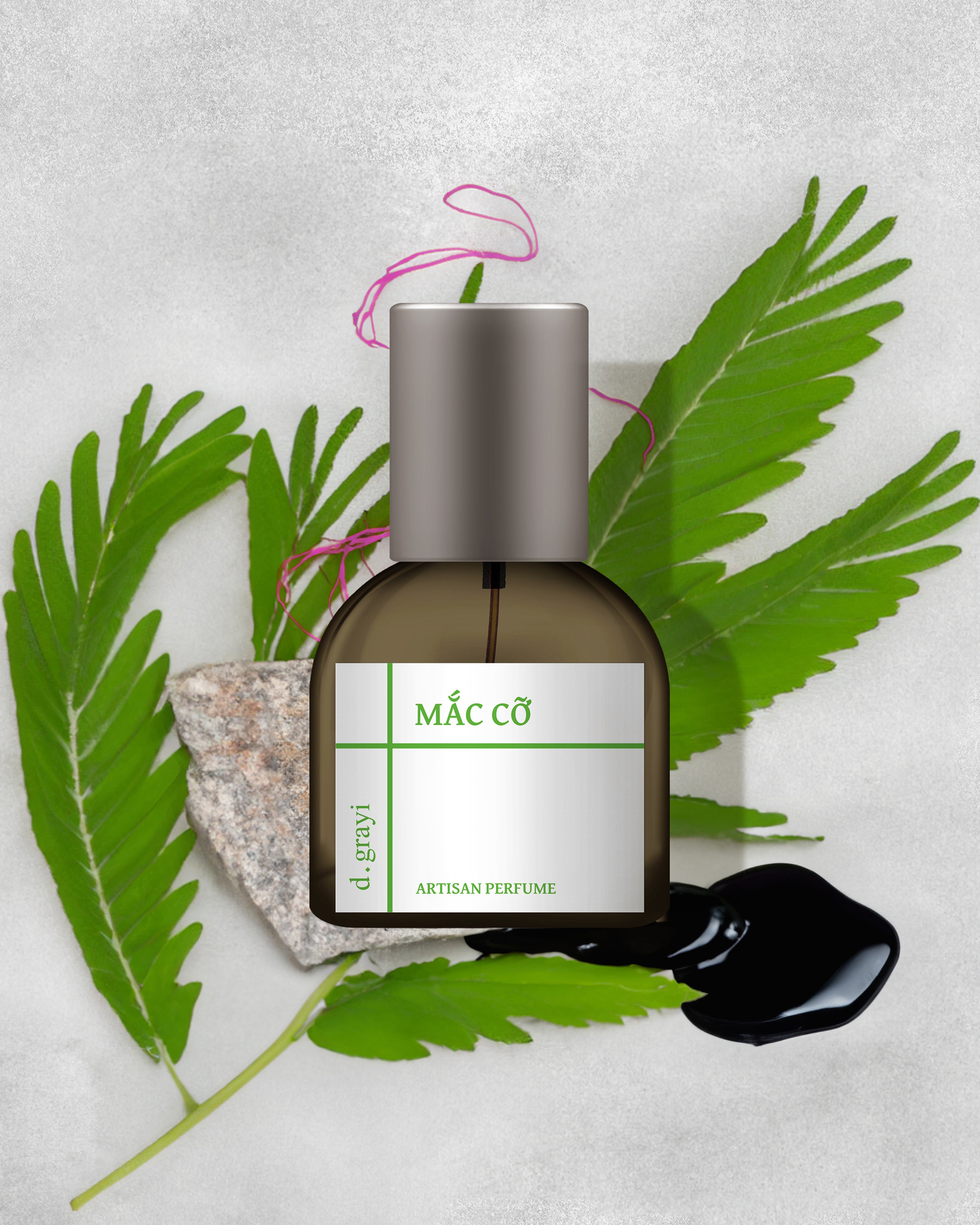 MẮC CỠ - SHY PLANT [Herbs, Moss & Tea] - lv1 studio